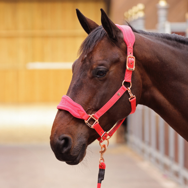 Shires ARMA Comfy Fleece Headcollar & Leadrope Set